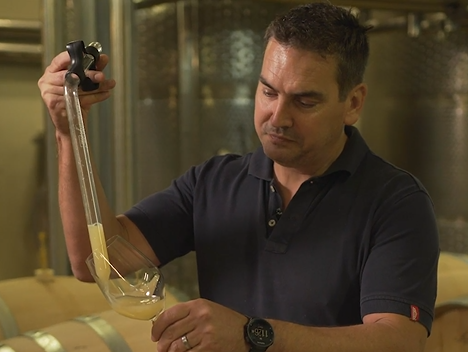 Anthonij Rupert Wines | Masterclass | 2024_T2 ANT01